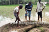 Circular trench appearing in field mysteriously causes shock to local folks